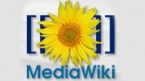 Script Director Web MediaWiki