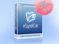 Script Director Web eSyndiCat